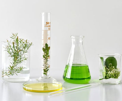 A Look Behind the Scenes: The Inspiration and Science Behind Our Hair Care Products