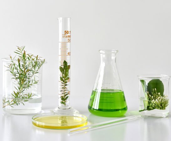 A Look Behind the Scenes: The Inspiration and Science Behind Our Hair Care Products - Number 4 Hair Care