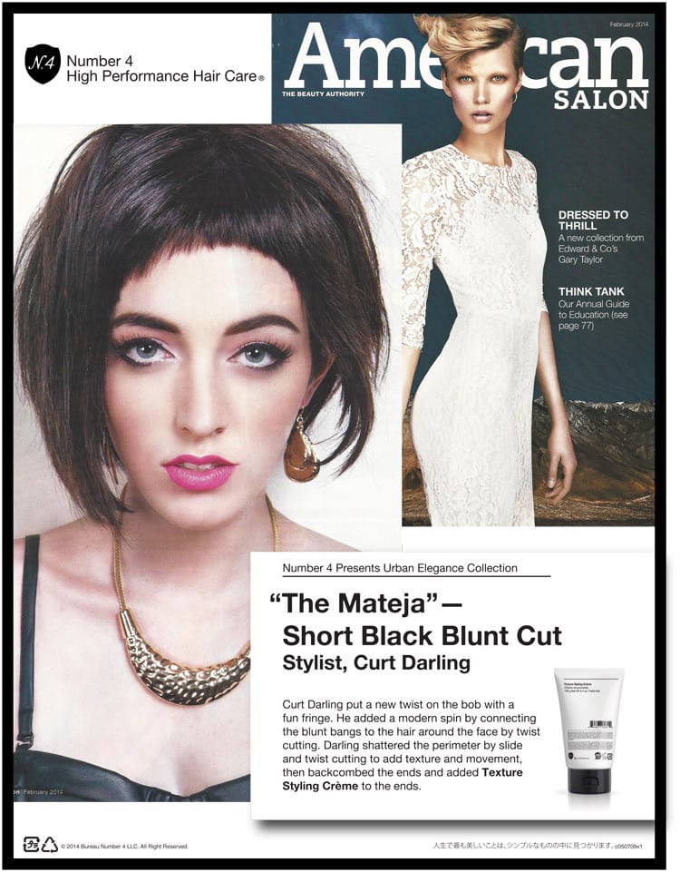 American Salon—The Mateja - Number 4 Hair Care