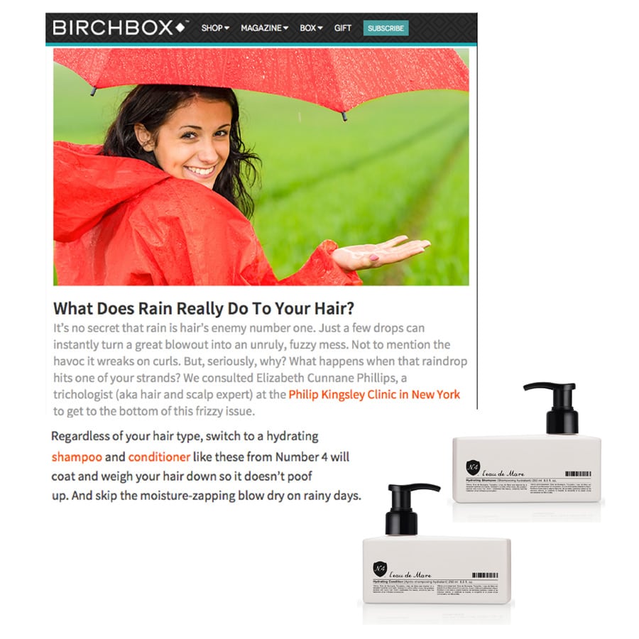 Birchbox Rainy Day - Number 4 Hair Care