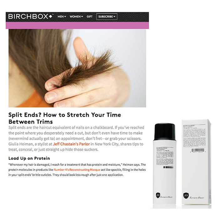 Birchbox Split Ends - Number 4 Hair Care
