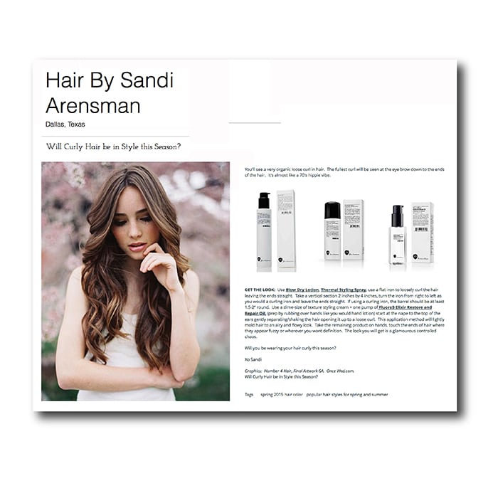 Hair by Sandi Arensman - Number 4 Hair Care