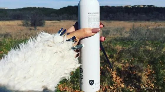 Hair Spray 101: A Lesson in Hold - Number 4 Hair Care