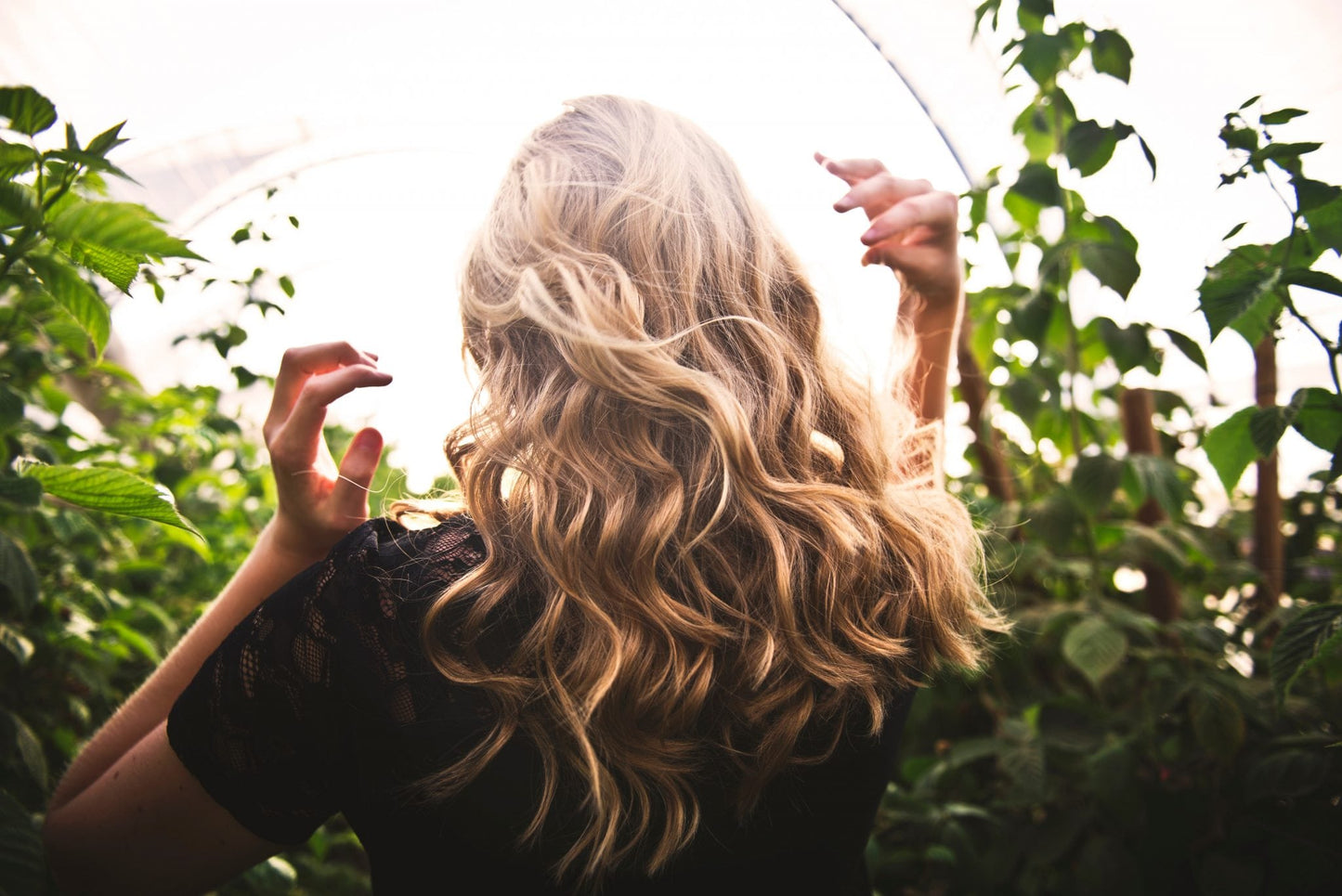 How Healthy Is Your Hair? - Number 4 Hair Care