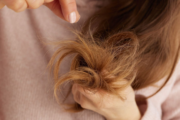 How to Fix Dry, Damaged Hair Without Cutting It All Off