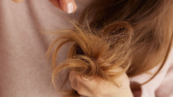 How to Fix Dry, Damaged Hair Without Cutting It All Off