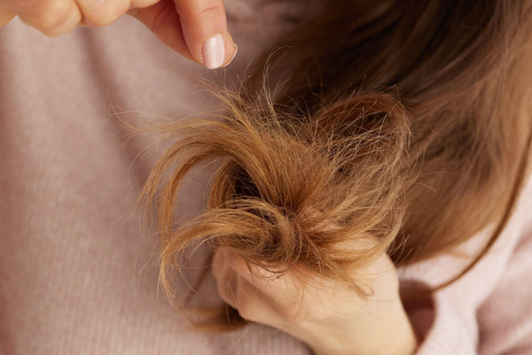 How to Fix Dry, Damaged Hair Without Cutting It All Off