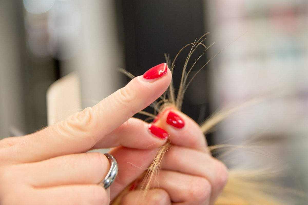 How to Repair Split Ends Without Constant Trimming - Number 4 Hair Care