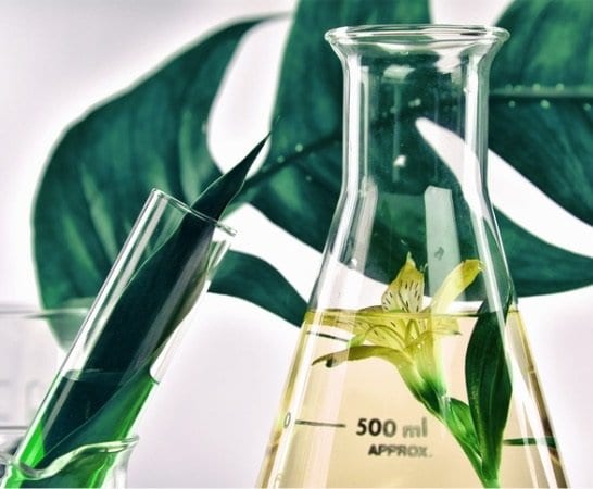 paraben free hair products