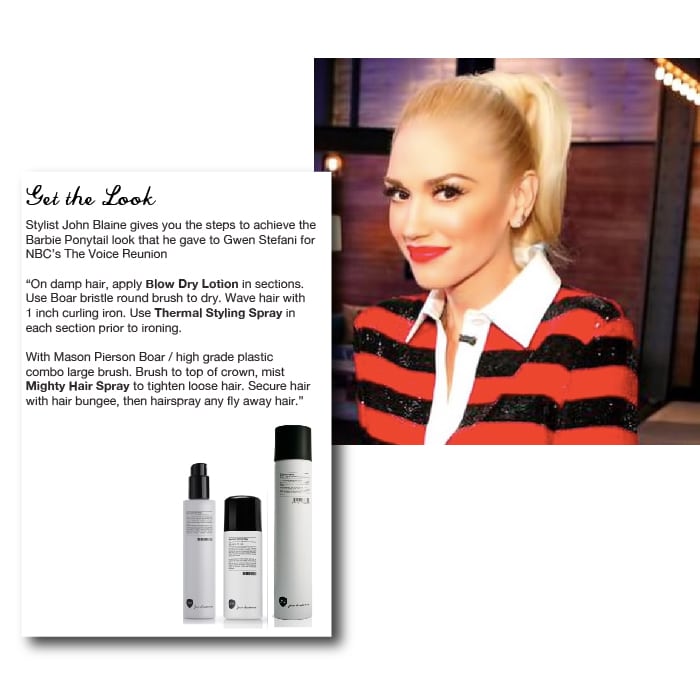 The Voice Reunion - Number 4 Hair Care